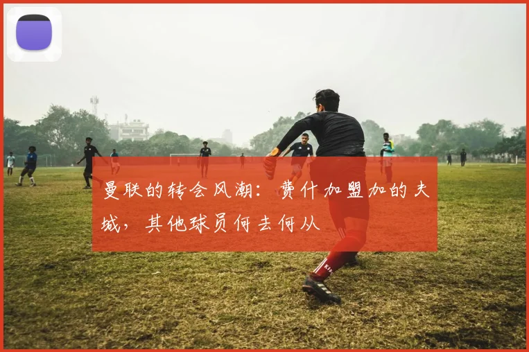 曼联的转会风潮：费什加盟加的夫城，其他球员何去何从