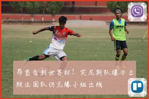昂首告别世界杯！突尼斯队爆冷击败法国队仍无缘小组出线